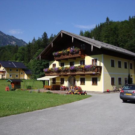 Pferdehof Almgut Apartment Faistenau Bagian luar foto