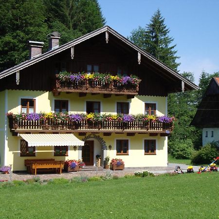 Pferdehof Almgut Apartment Faistenau Bagian luar foto