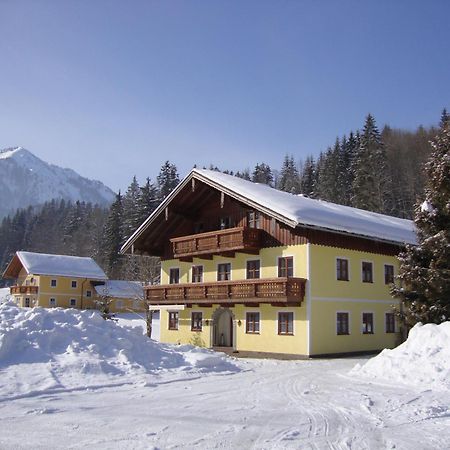 Pferdehof Almgut Apartment Faistenau Bagian luar foto