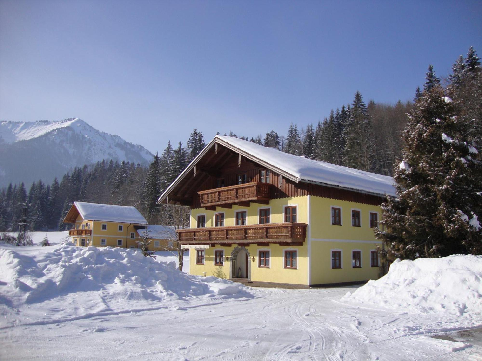 Pferdehof Almgut Apartment Faistenau Bagian luar foto